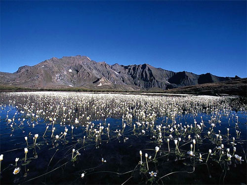 Gran Parco Paradiso, Valle dAosta