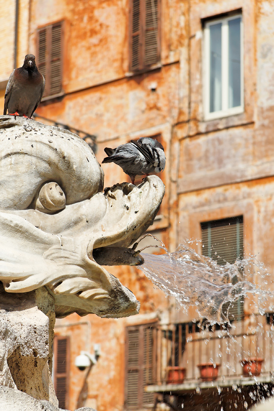 , Piazza della Rotonda -  