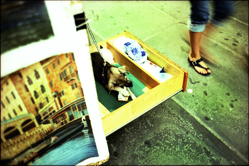 Venezia, Ponte Rialto -  