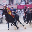   -    (Il Palio di Siena)